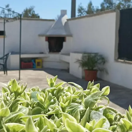 Zaira * ガリポリ