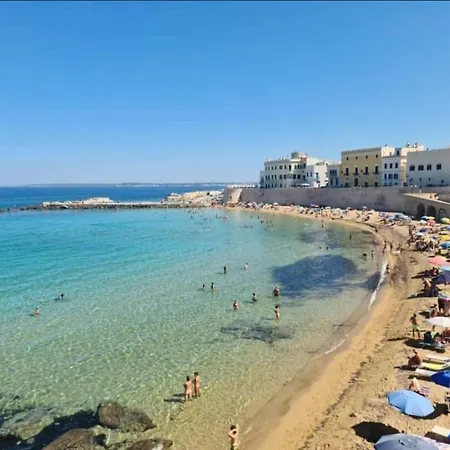 Zaira * ガリポリ