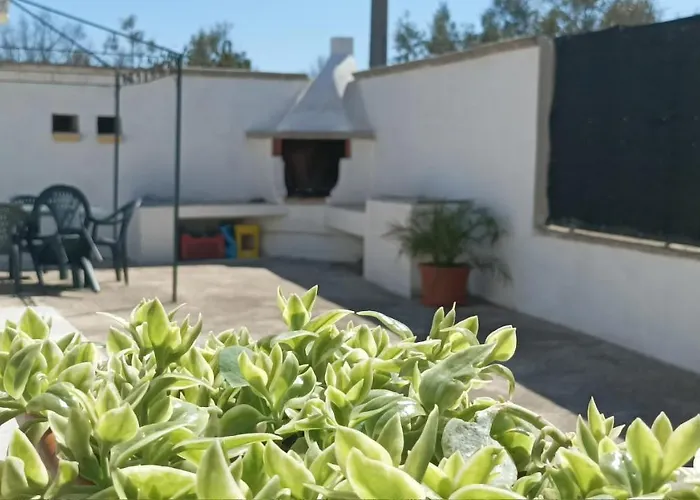 Zaira * ガリポリ