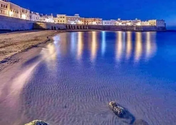 Zaira * ガリポリ