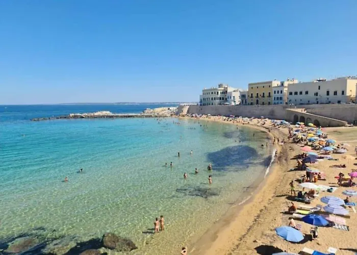 Zaira * ガリポリ